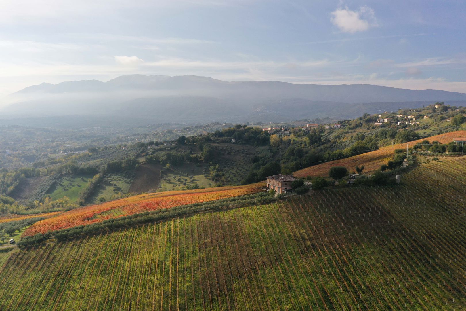 DJI_0244