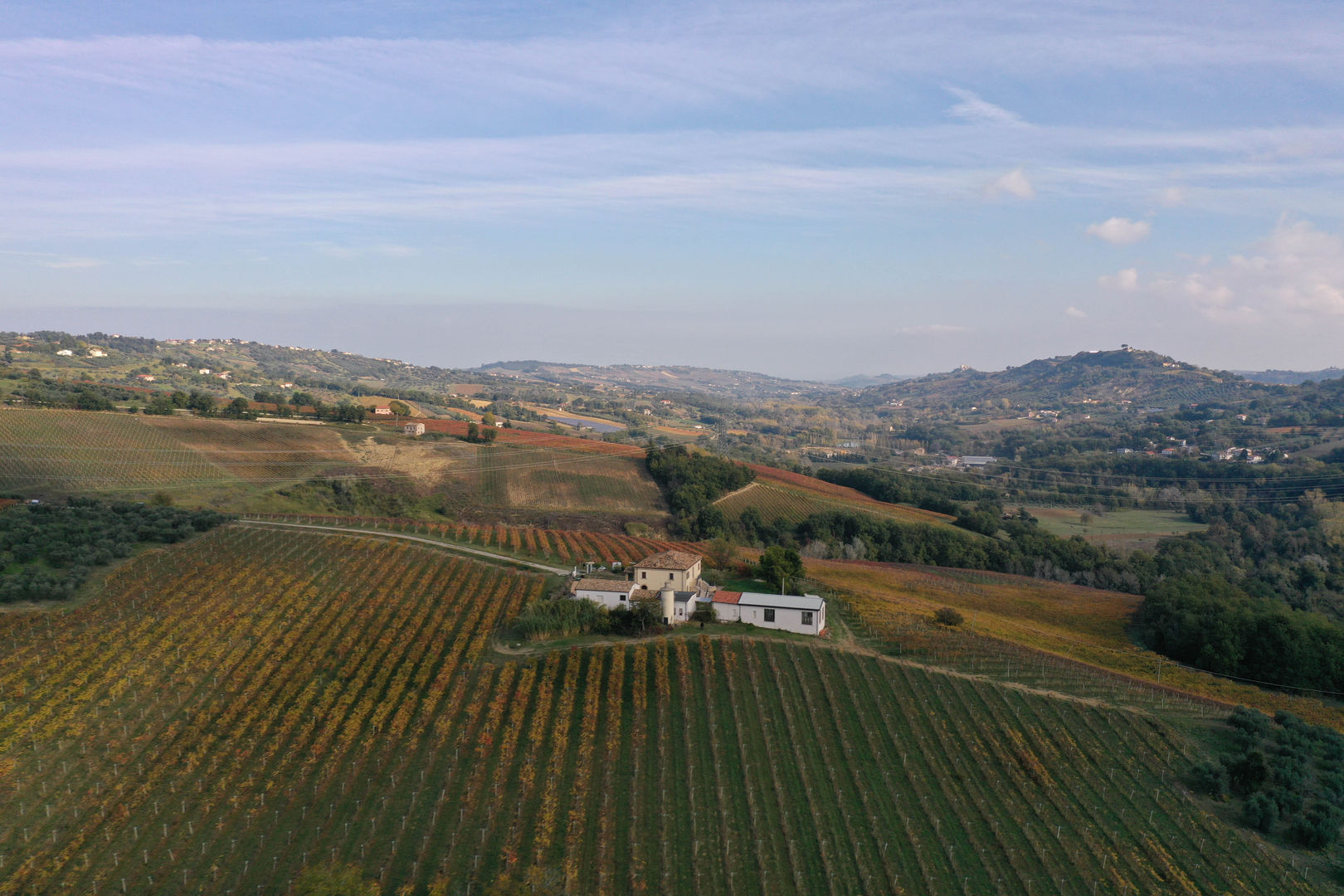 DJI_0260