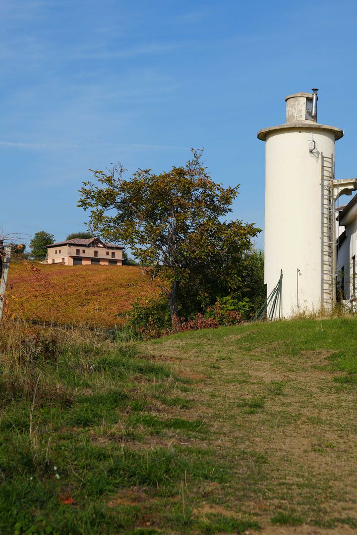 DSC03680